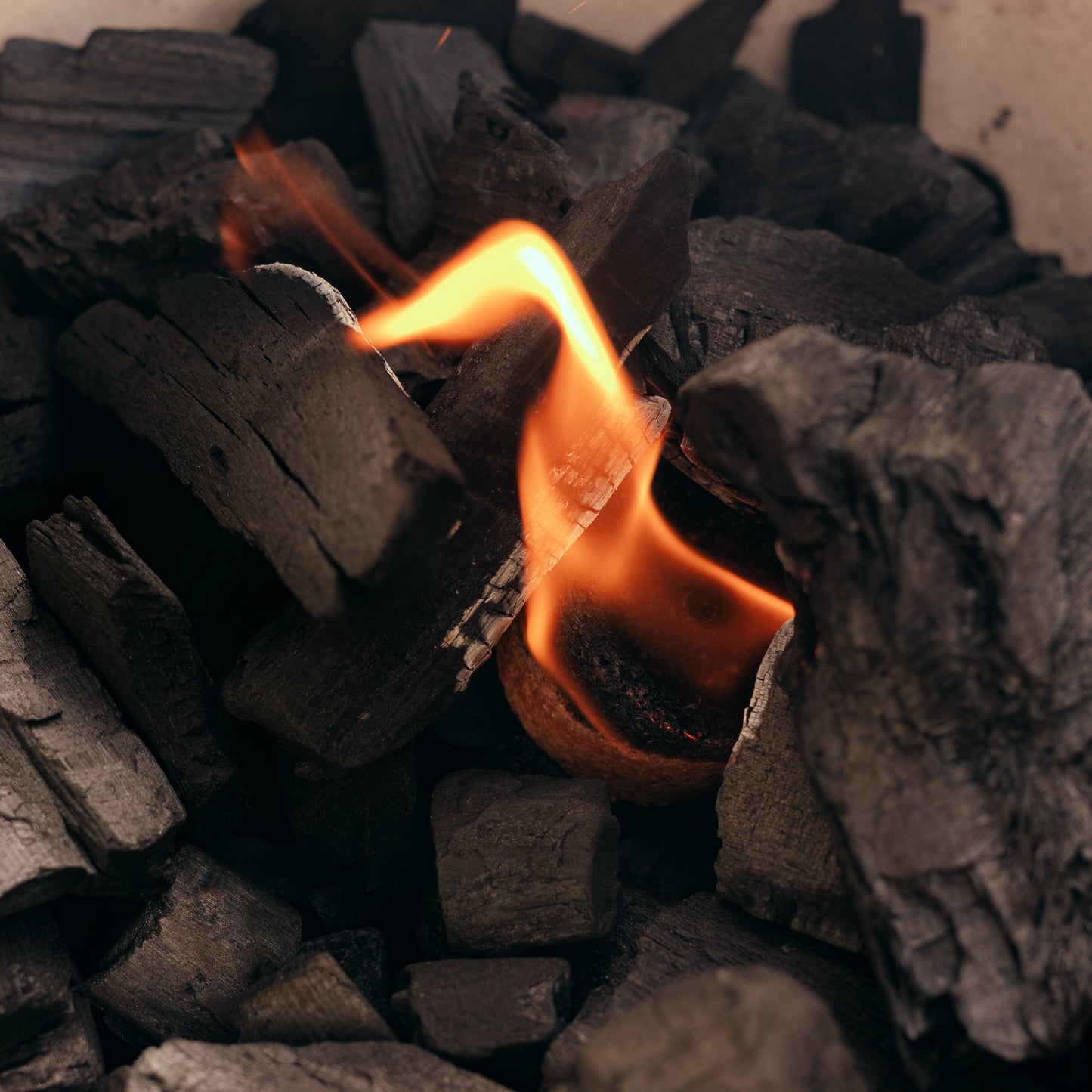 Ecolighter - Eco aanmaakblok - Pak van 120 stuks